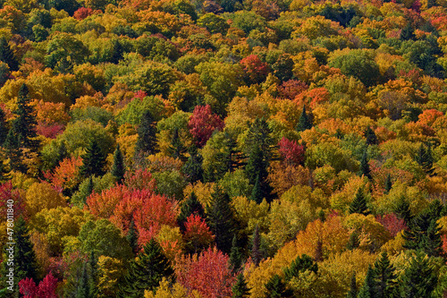 Fall Impressions, Mauricie National Park, Quebec photo