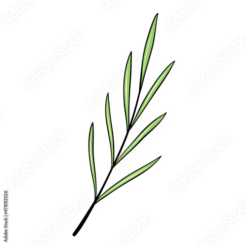 green plant branch with leaves for design