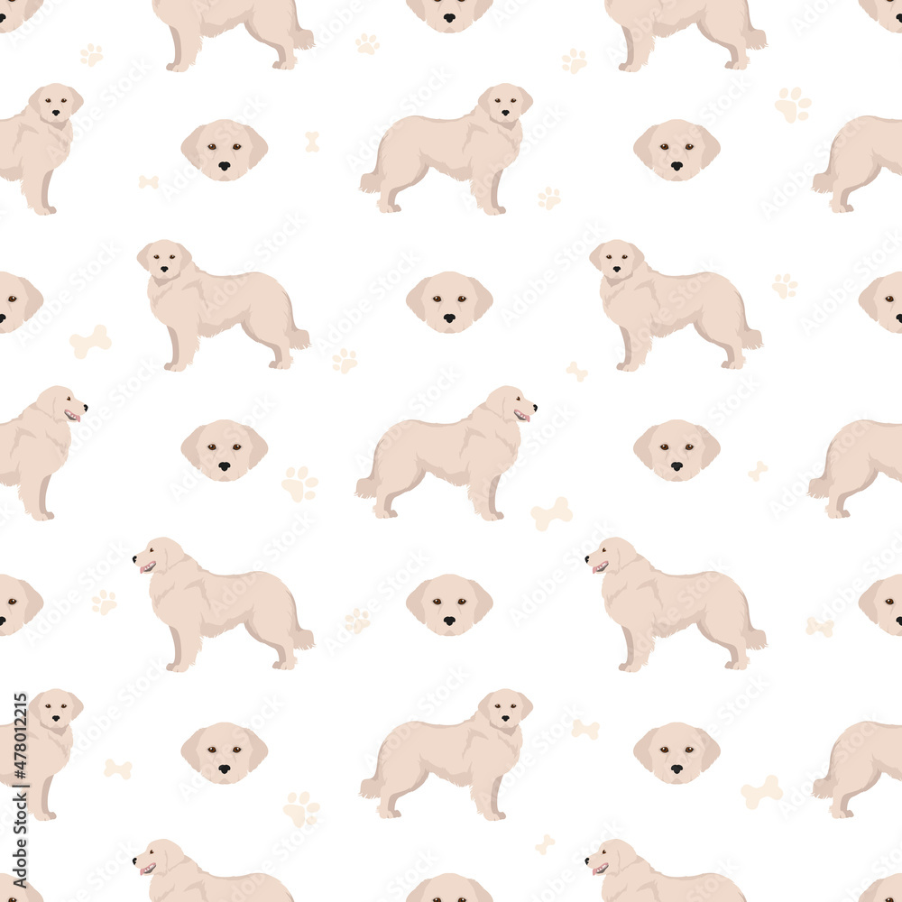 Maremma sheepdog seamless pattern. Different poses, coat colors set