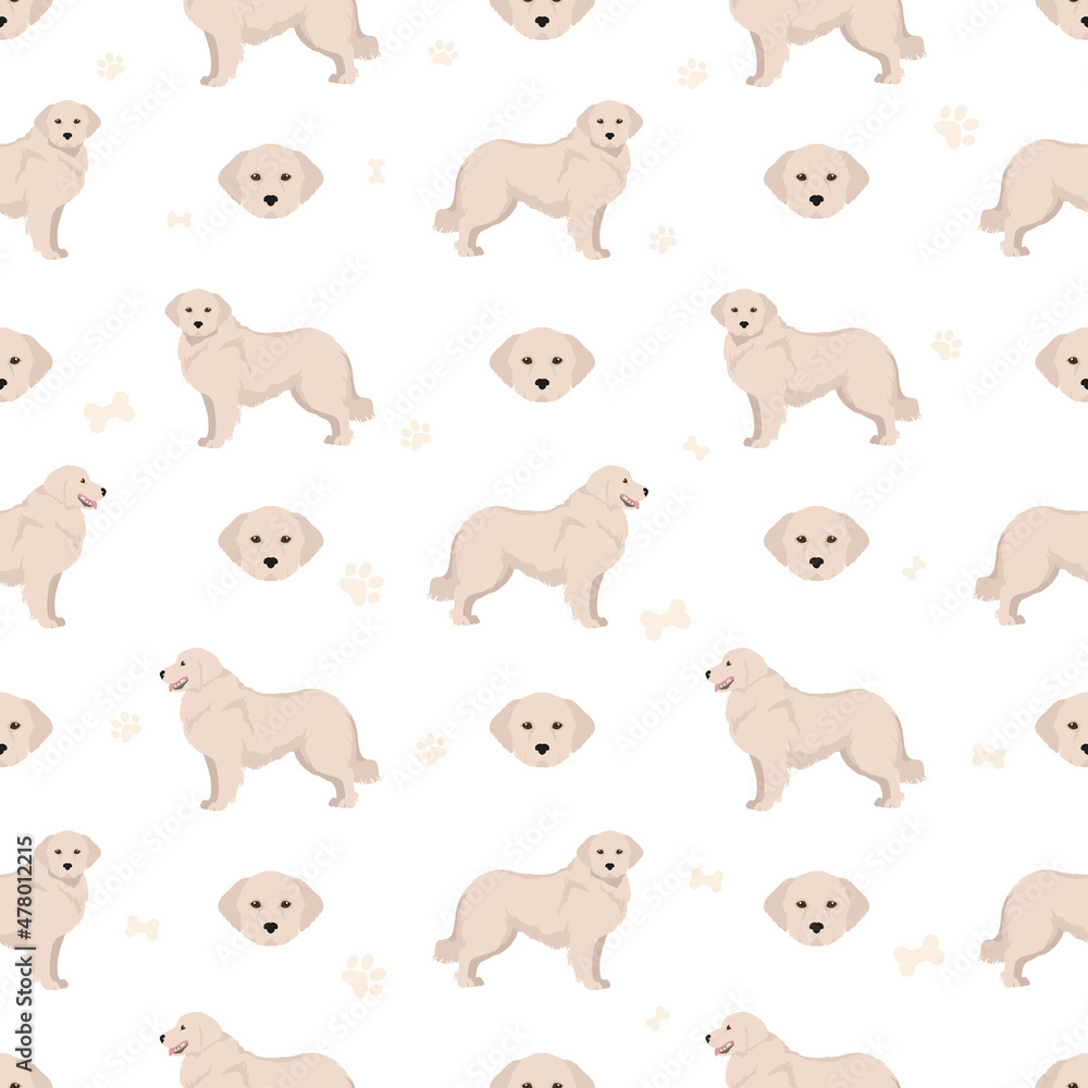 Fototapeta premium Maremma sheepdog seamless pattern. Different poses, coat colors set