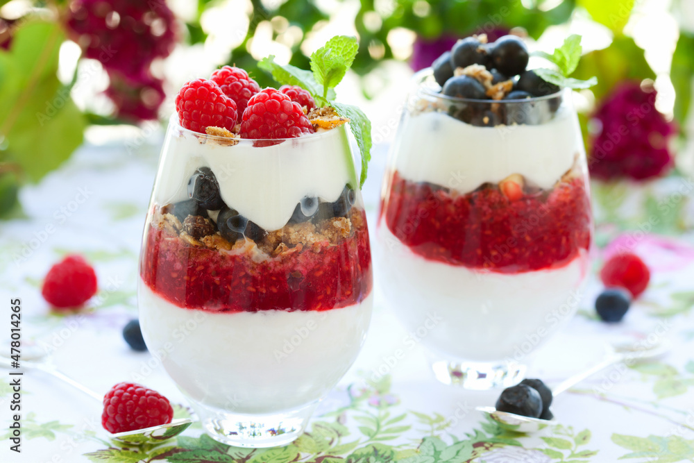 raspberry and blueberry parfait raspberry and blueberry parfait