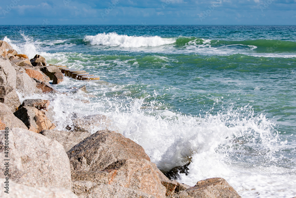 Wild on the Rocks Wild on the Rocks