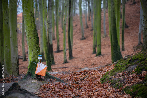 Orienteering - autumn