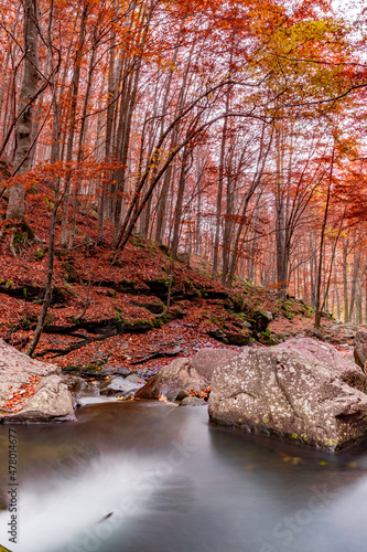 Autumn landscape in the beech forest in the Corno alle Scale Regional Park with a silky stream. Classic foliage landscape in the Italian Apennines. photo