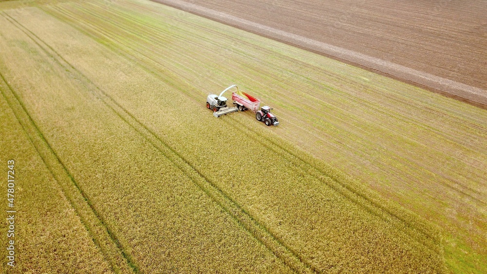 Erntearbeiten aus der Vogelperspektive: Feldhäcksler und Traktor mit Anhänger bei der Ernte auf einem Acker, Ackerbau, Landwirtschaft, Umwelt