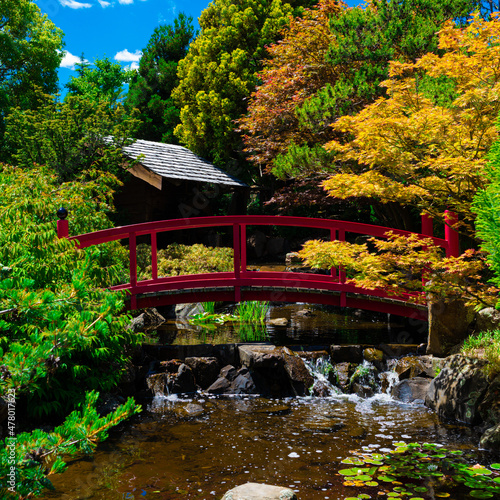 Bridge in Japanese garden 