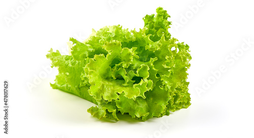 Fresh Lettuce leaves, isolated on white background.