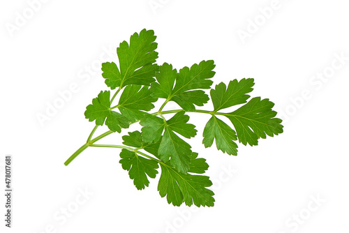 Fresh parsley, isolated on a white backgroound.