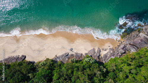 Beautiful deserted beach in Ubatuba, São Paulo, Brazil.
Atlantic forest, yellow sand and clear sea water. Figueira beach paradise. photo
