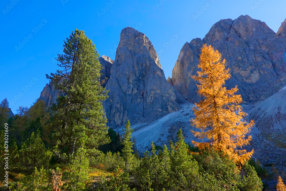 Amazing Dolomites near Santa Magdalena, Adolf Munkel Trail in Mountains of Northern Italy, Europe
