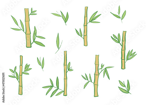 Bamboo asian plant vector illustrations set