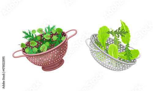 Vegetables in kitchen colander set. Strainers full of fresh arugula, chard, watercress, lettuce greenery. Healthy organic food vector illustration