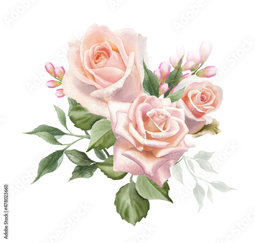 Watercolor bouquet of  blush rose flower isolated on a white background. The trendy elegant design for wedding invitation, poster, greeting cards, stationery  design. Hand drawn floral illustration.