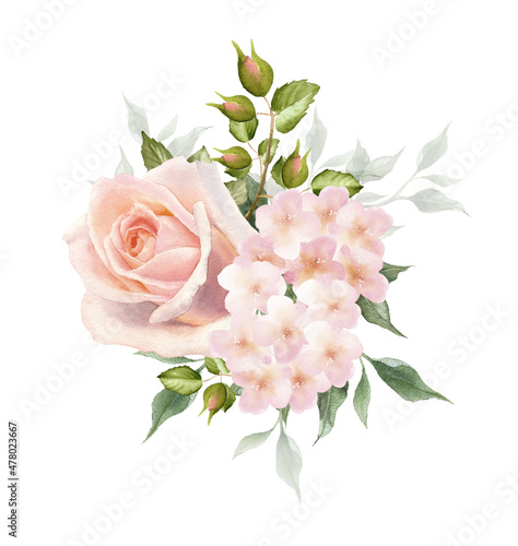 Watercolor bouquet of blush rose flower isolated on a white background. The trendy elegant design for wedding invitation, poster, greeting cards, stationery design. Hand drawn floral illustration.