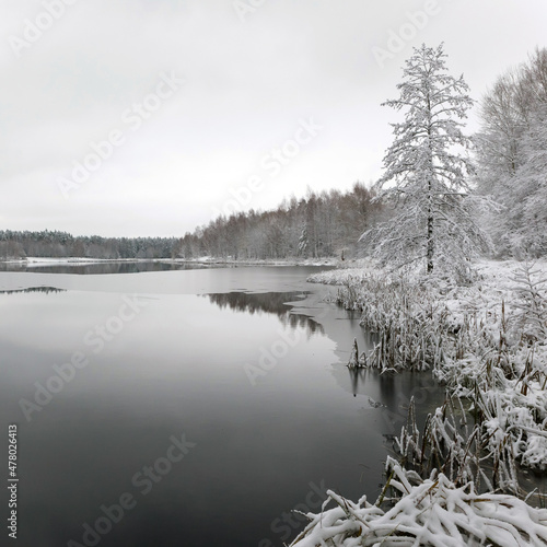 White winter landscape lake in the forest © madredus