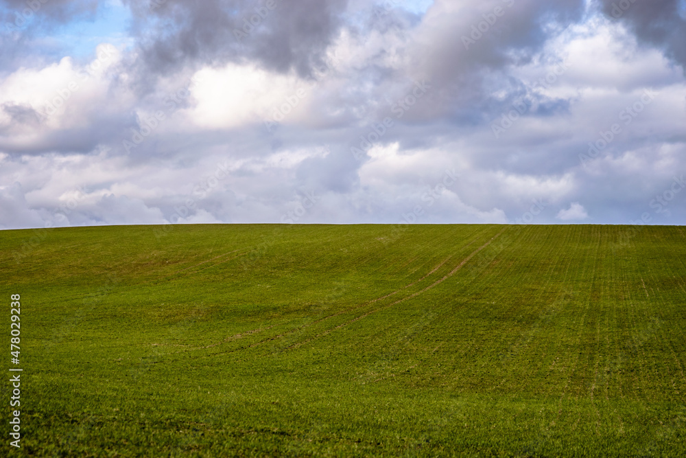 green field and cloudy sky