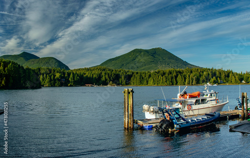 Panoramic view of Ucluelet port on the Vancouver Island on the Pacific Ocean in BC, Canada © Ravi