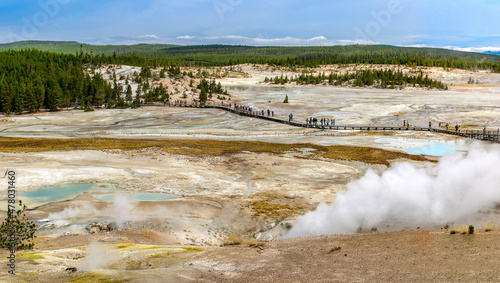 Panoramic view of a large geyser field in Yellowstone National Park, WY, USA