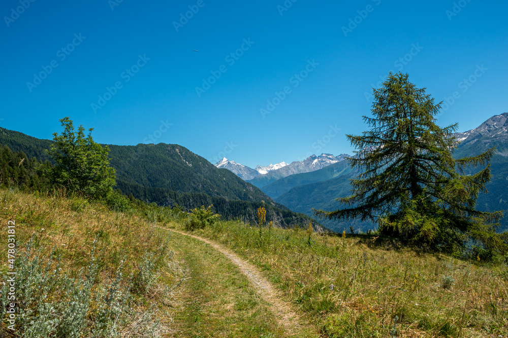 mountain panorama with snowy Monte Bianco on background