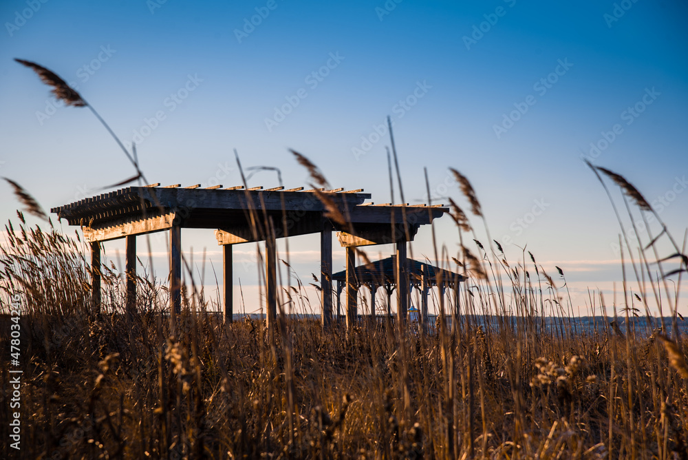 A pavilion on the beach surrounded by common