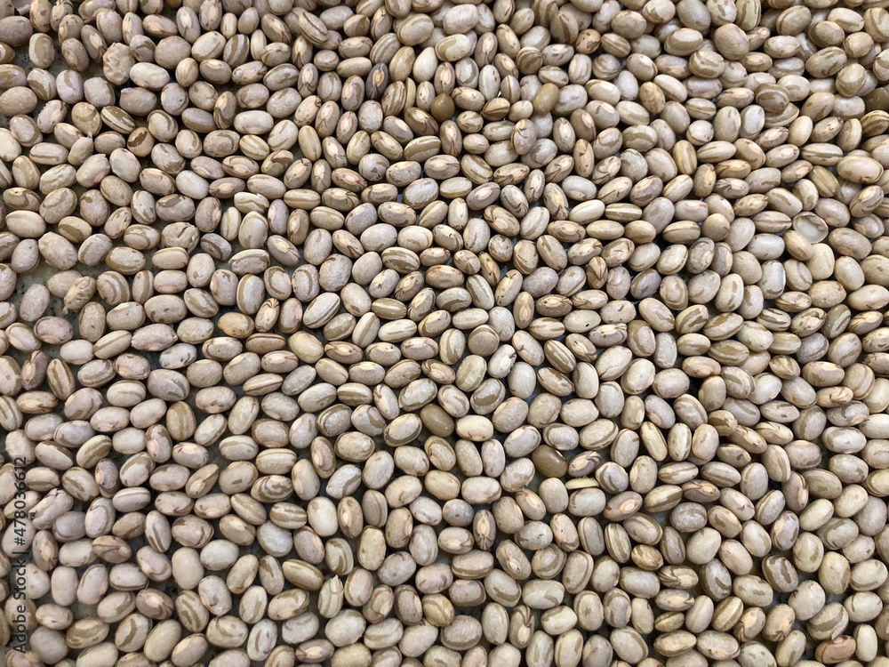 Beans background. Beans spread on the table. Beans background. Beans spread on the table.
