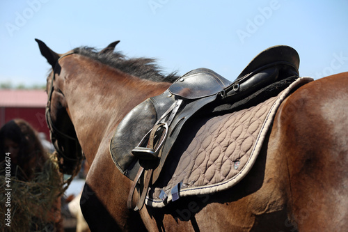 . Equestrian sport background outdoors © acceptfoto