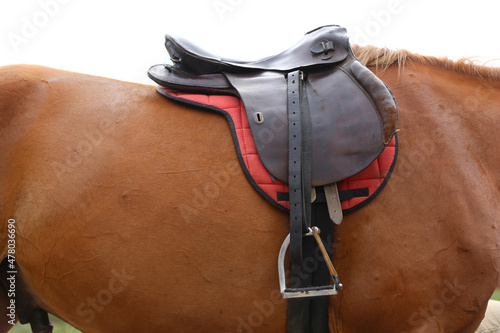 . Equestrian sport background outdoors