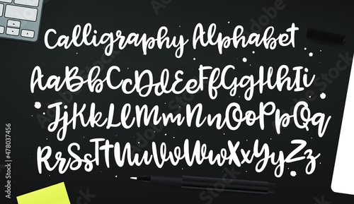 Vector hand drawn alphabet. Brush painted letters. Handwritten script alphabet. Hand lettering and custom typography for your designs: logo, for posters, invitations, cards, etc. Vector type.