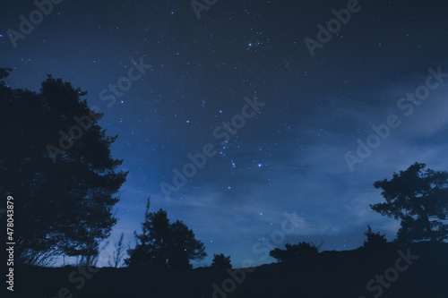 Sternenhimmel mit Bäumen © Dennis Eisen