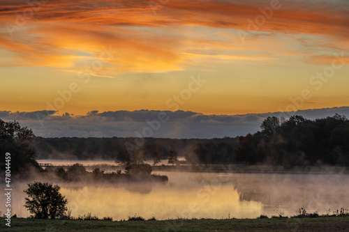 Foggy morning Busse Lake Elk Grove Township, Illinois USA
