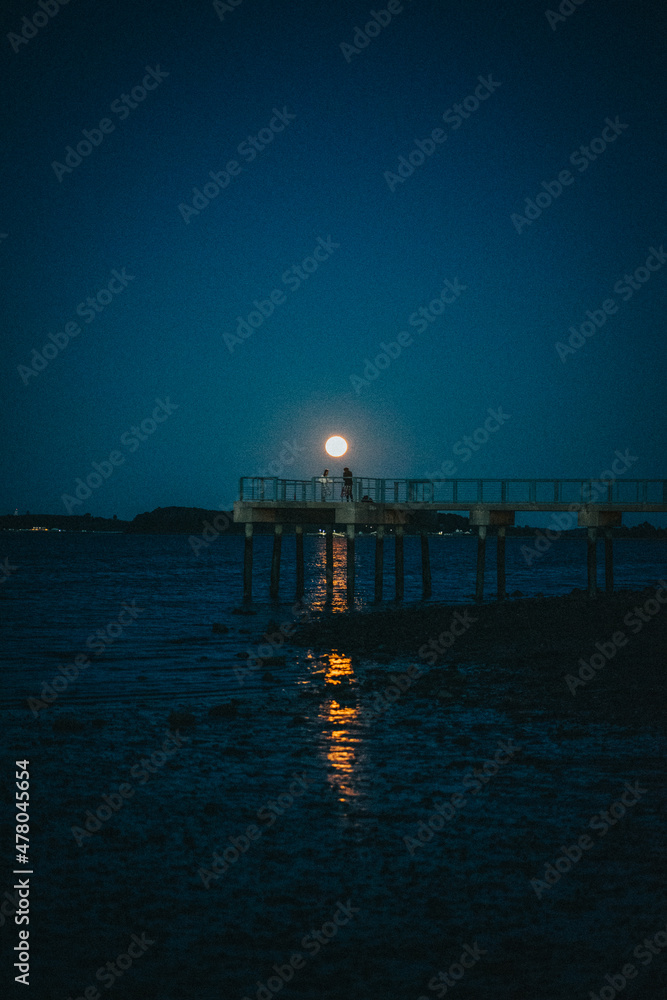 Moonlit pier