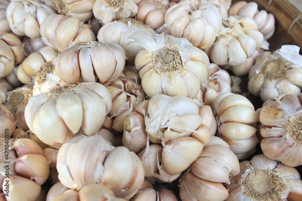 Fresh garlic background Fresh garlic background