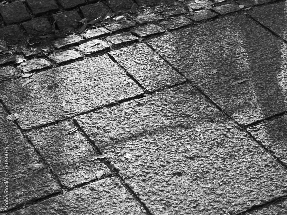 Obraz premium 散歩中に見つけた風景