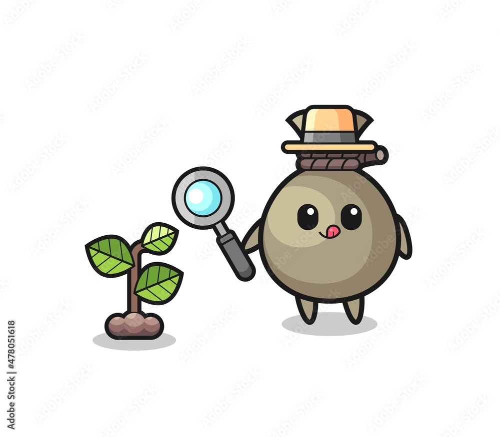 cute money sack herbalist researching a plants cute money sack herbalist researching a plants