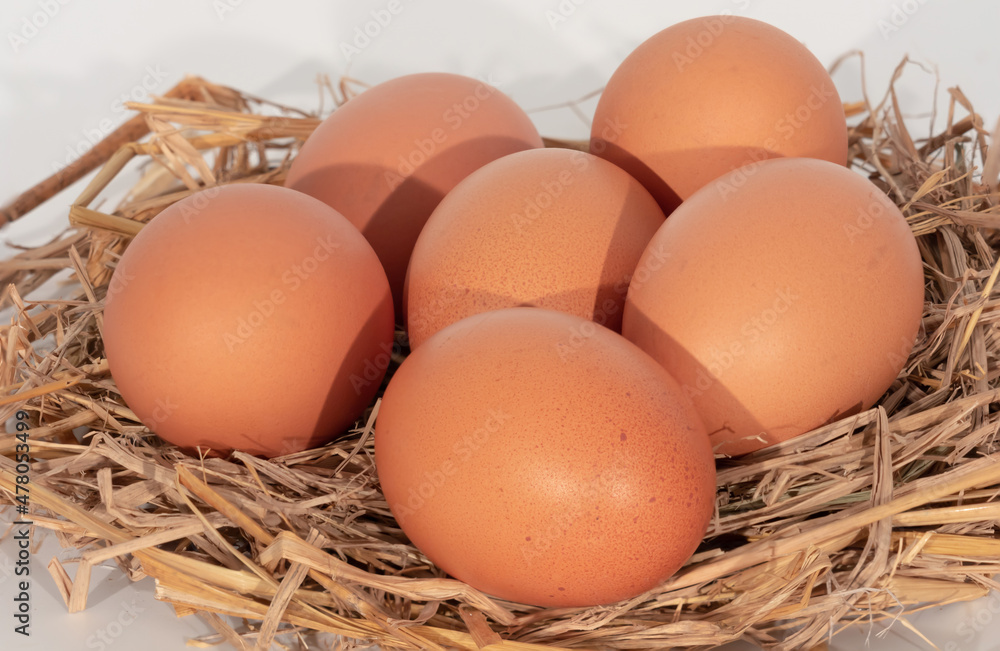 isolated on white background,organic chicken eggs. isolated on white background,organic chicken eggs.