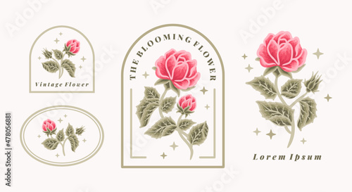 Set of vintage feminine beauty red rose floral logo elements with frame and green leaf branches