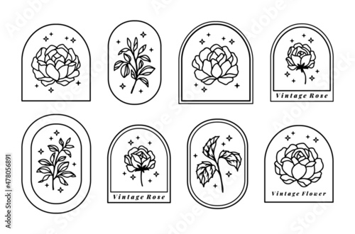 Set of hand drawn vintage botanical feminine rose flower, leaf branches, and frame line art logo elements