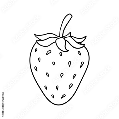 Strawberry hand drawn outline doodle icon. Vector sketch illustration of healthy berry - fresh raw strawberry for print, web, mobile and infographics isolated on white background.