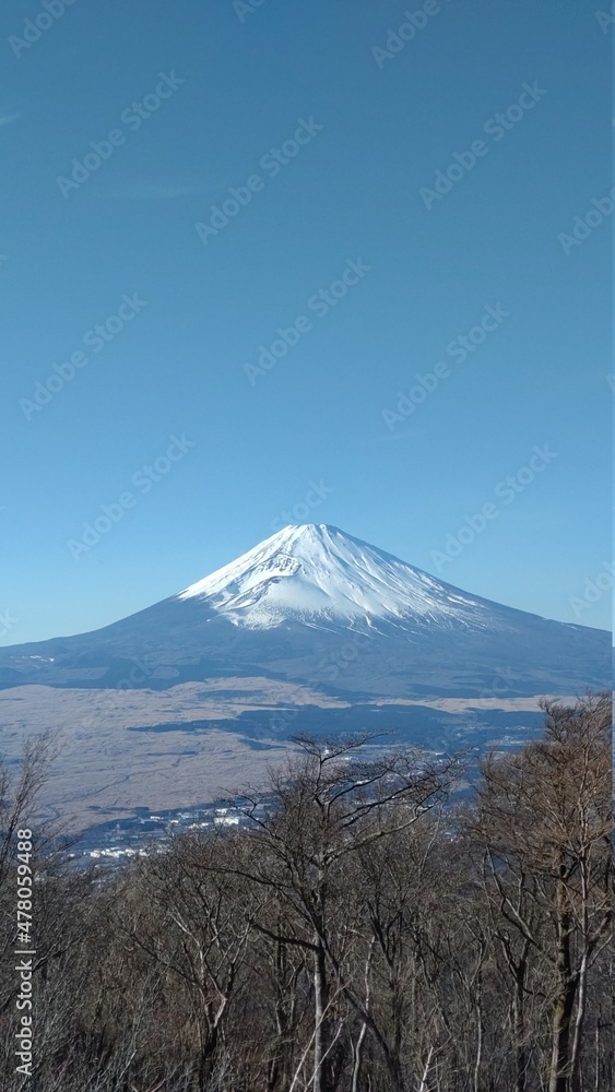 Fototapeta premium mountain in fuji japan
