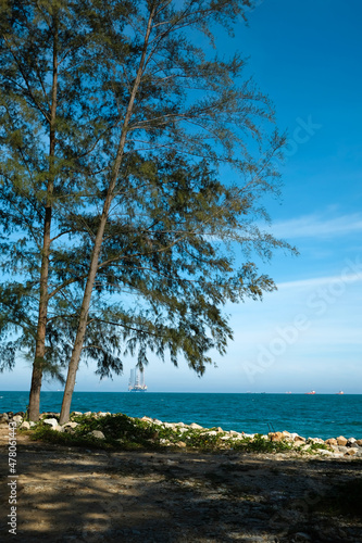 Sea side scenery with shady trees in Teluk Kalong, Terengganu, Malaysia.