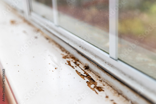 Window sill showing termite damage photo