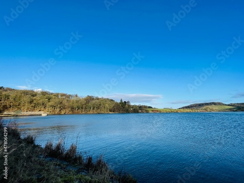 lake and forest