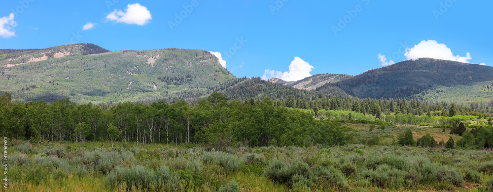 Panoramic view of woodlands in Uinta Wasatch national forest in Utah.