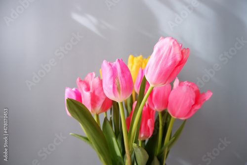 Colorful beautiful tulips on gray background. Mother's day, Valentine, Women's day and spring time concept flower background.
