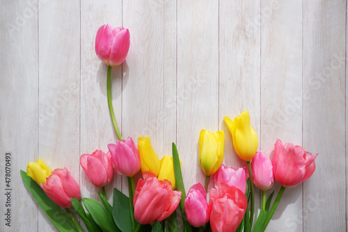 Colorful tulip flowers on white wooden background. Mother's day, Valentine, Women's day and spring time concept floral background.