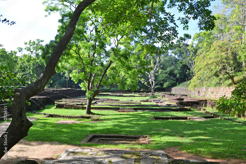 Sri Lanka, park at the foot Sigiriya
