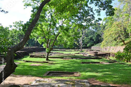 Sri Lanka  park at the foot Sigiriya 