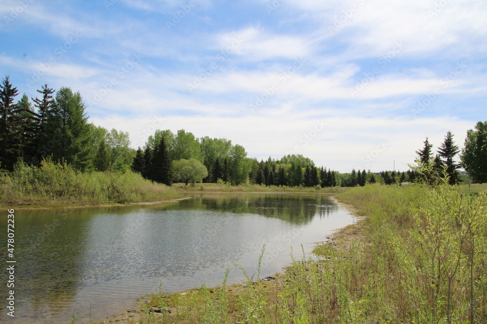 Spring On The Lake, Gold Bar Park, Edmonton, Alberta Spring On The Lake, Gold Bar Park, Edmonton, Alberta