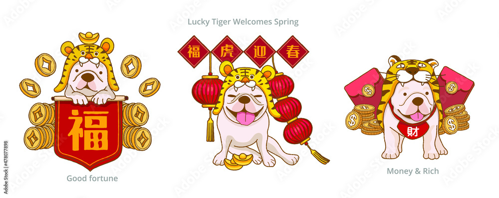 Cute  French bulldog wearing tiger costume and with The red spring couplets say blessings and Lucky tiger welcome the spring to celebrate Chinese New Year
