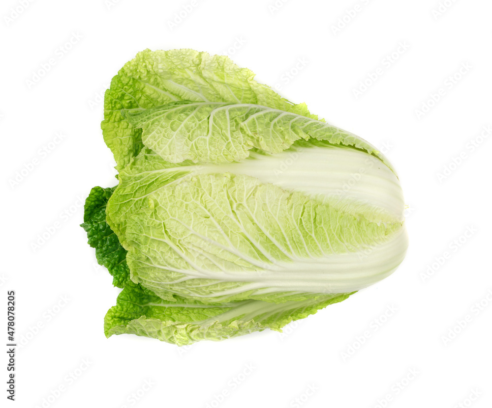 Whole Chinese Cabbage, Napa Cabbage or Wombok Whole Chinese Cabbage, Napa Cabbage or Wombok